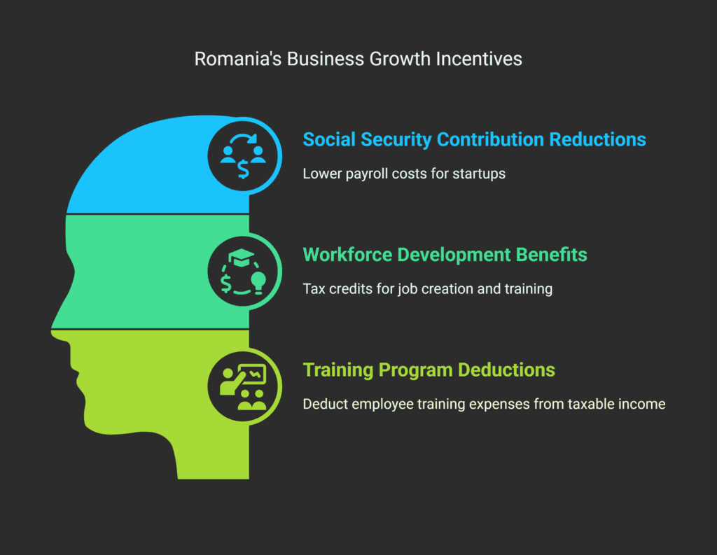 Employment Tax Incentives for New Businesses in Romania