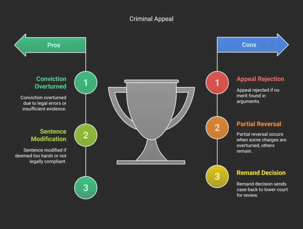 Possible Outcomes of Criminal Appeals Romania