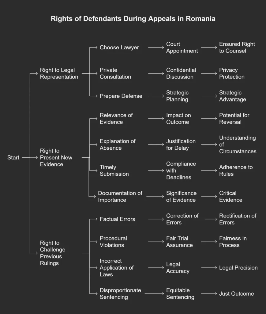 Rights of Defendants During Appeals Romania