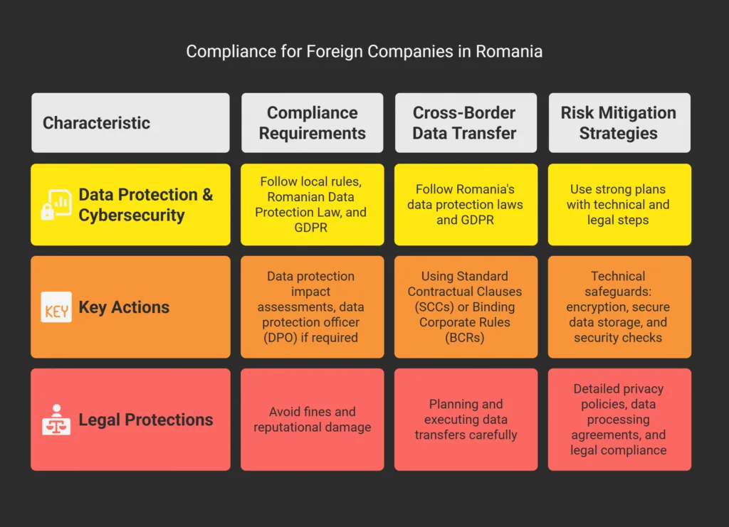 Practical Implications for Businesses and Individuals 